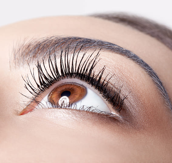 Lash Lift And Tint Image